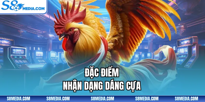 Đặc điểm nhận dạng dáng cựa