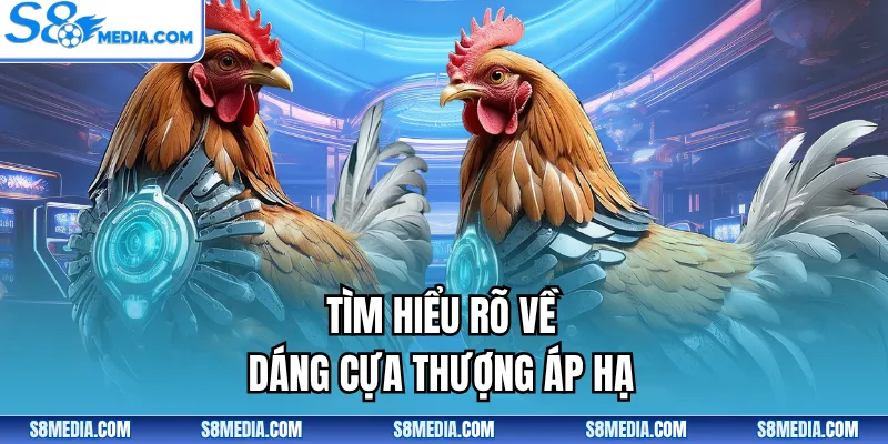 Tìm hiểu rõ về dáng cựa thượng áp hạ